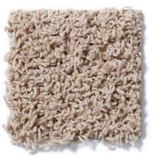 Shaw Floors Striker Fawn 52R36_00108