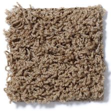 Shaw Floors Striker Antique 52R36_00203