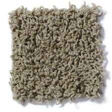 Shaw Floors Striker Desert Palm 52R36_00301