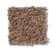 Shaw Floors Striker Barn Wood 52R36_00700
