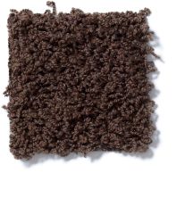 Shaw Floors Striker Dark Fudge 52R36_00701