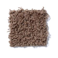 Shaw Floors Striker Brown Sugar 52R36_00702