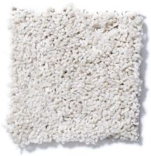 Shaw Floors Cardinal Fine Lace 52R37_00100