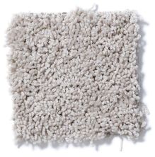 Shaw Floors Cardinal Pebble 52R37_00102