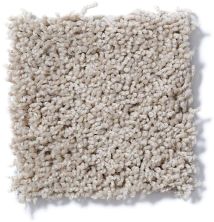 Shaw Floors Cardinal Soft Shell 52R37_00103