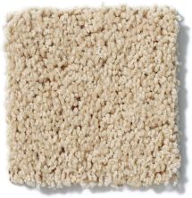 Shaw Floors Cardinal Wild Straw 52R37_00106