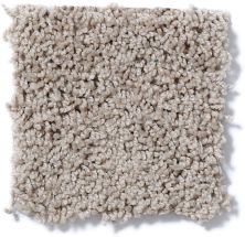 Shaw Floors Cardinal Birch Bark 52R37_00107
