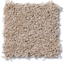 Shaw Floors Cardinal Fawn 52R37_00108