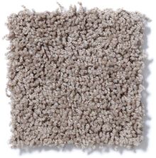 Shaw Floors Cardinal Lava 52R37_00109