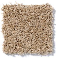 Shaw Floors Cardinal French Bread 52R37_00200