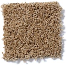 Shaw Floors Cardinal Dried Oak 52R37_00201