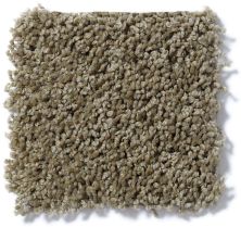 Shaw Floors Cardinal Desert Palm 52R37_00301