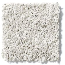 Shaw Floors Cardinal Crystal Gray 52R37_00500