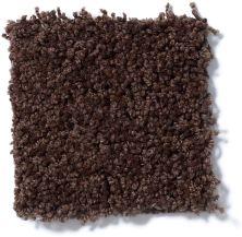 Shaw Floors Cardinal Dark Fudge 52R37_00701