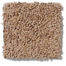 Shaw Floors Cardinal Brown Sugar 52R37_00702