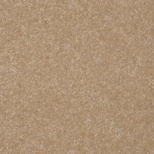 Shaw Floors Foundations Passageway II 15 Classic Buff 00108_52S25