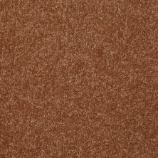 Shaw Floors Foundations Passageway II 15 Soft Copper 00600_52S25