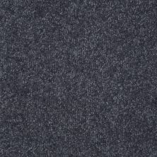 Shaw Floors Foundations Passageway III 15 Denim 00401_52S27