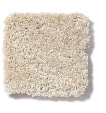 Shaw Floors Town Creek II Linen 52S30_00107