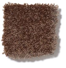 Shaw Floors Town Creek II Mocha Chip 52S30_00705
