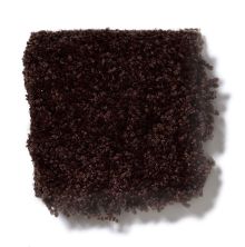 Shaw Floors Town Creek II Dark Roast 52S30_00709