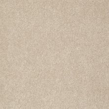 Shaw Floors Anso Colorwall Design Texture Gold Natural Wood 00701_52T72
