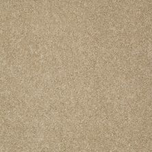 Shaw Floors Anso Colorwall Design Texture Gold Beach House 00771_52T72