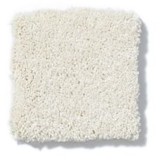 Shaw Floors Anso Colorwall Design Texture Platinum 12′ Fine China 52T73_00104