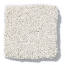 Shaw Floors Anso Colorwall Design Texture Platinum 12′ Cool Breeze 52T73_00106