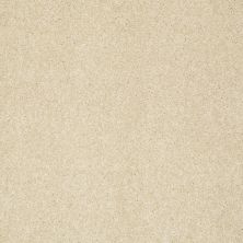 Shaw Floors Anso Colorwall Design Texture Platinum 12′ Chenille Soft 00110_52T73