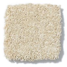 Shaw Floors Anso Colorwall Design Texture Platinum 12′ Chenille Soft 52T73_00110