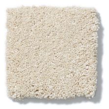 Shaw Floors Anso Colorwall Design Texture Platinum 12′ Parchment 52T73_00111
