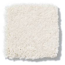 Shaw Floors Anso Colorwall Design Texture Platinum 12′ Pearl Glaze 52T73_00121