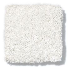 Shaw Floors Anso Colorwall Design Texture Platinum 12′ Snow Cap 52T73_00122