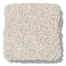Shaw Floors Anso Colorwall Design Texture Platinum 12′ Dunes 52T73_00123
