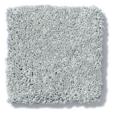 Shaw Floors Anso Colorwall Design Texture Platinum 12′ Fossil 52T73_00541