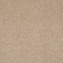 Shaw Floors Anso Colorwall Design Texture Platinum 12′ Townhouse Taupe 00700_52T73