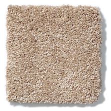 Shaw Floors Anso Colorwall Design Texture Platinum 12′ Townhouse Taupe 52T73_00700