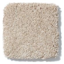 Shaw Floors Anso Colorwall Design Texture Platinum 12′ Natural Wood 52T73_00701