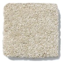 Shaw Floors Anso Colorwall Design Texture Platinum 12′ Travertine 52T73_00702
