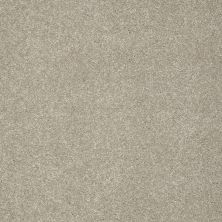 Shaw Floors Anso Colorwall Design Texture Platinum 12′ Warm Oatmeal 00722_52T73