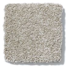 Shaw Floors Anso Colorwall Design Texture Platinum 12′ Warm Oatmeal 52T73_00722