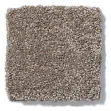 Shaw Floors Anso Colorwall Design Texture Platinum 12′ Iced Coffee 52T73_00723