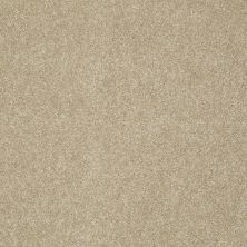 Shaw Floors Anso Colorwall Design Texture Platinum 12′ Riverbank 00770_52T73