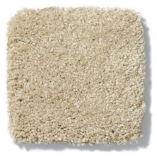 Shaw Floors Anso Colorwall Design Texture Platinum 12′ Riverbank 52T73_00770