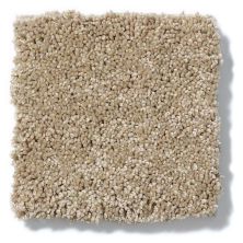 Shaw Floors Anso Colorwall Design Texture Platinum 12′ Beach House 52T73_00771