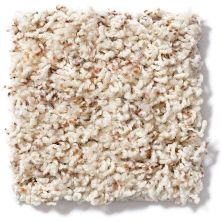 Shaw Floors Guess Work (b) Pebble 52U00_00123