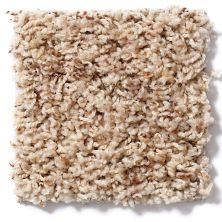 Shaw Floors Guess Work (b) Thistle 52U00_00244