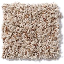 Shaw Floors Guess Work (b) Thatch 52U00_00720