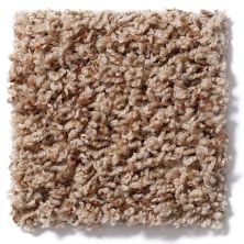 Shaw Floors Guess Work (b) Thicket 52U00_00768